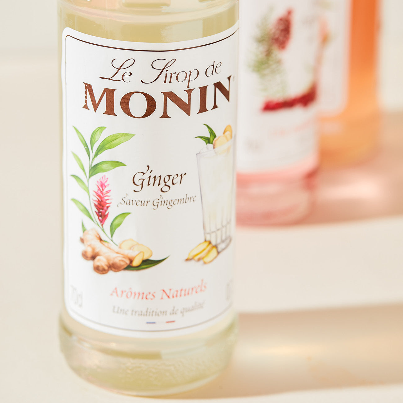 Monin Ginger Syrup 70 cl (P)
