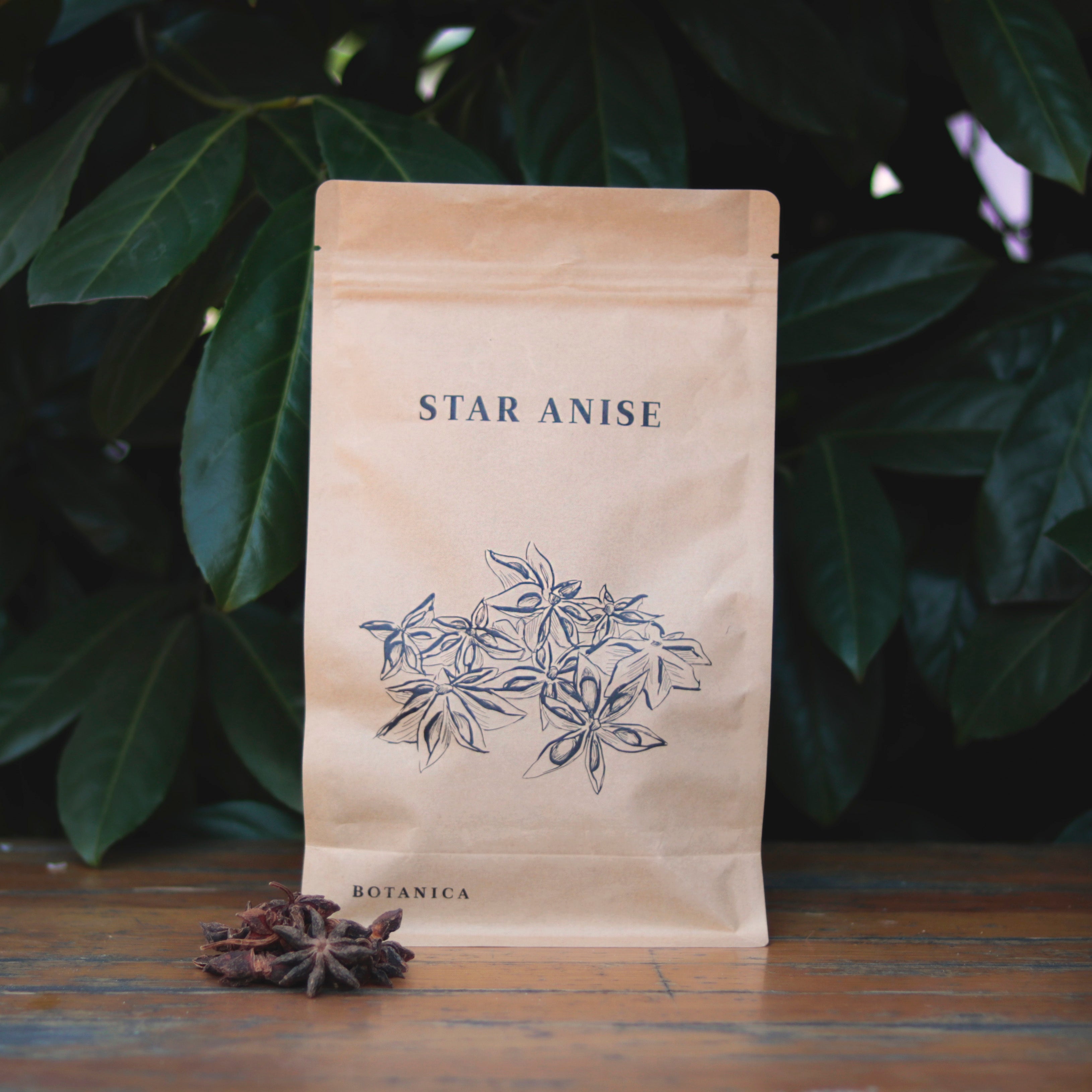 Botanica Star Anise 170 g